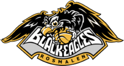 The Black Eagles logo